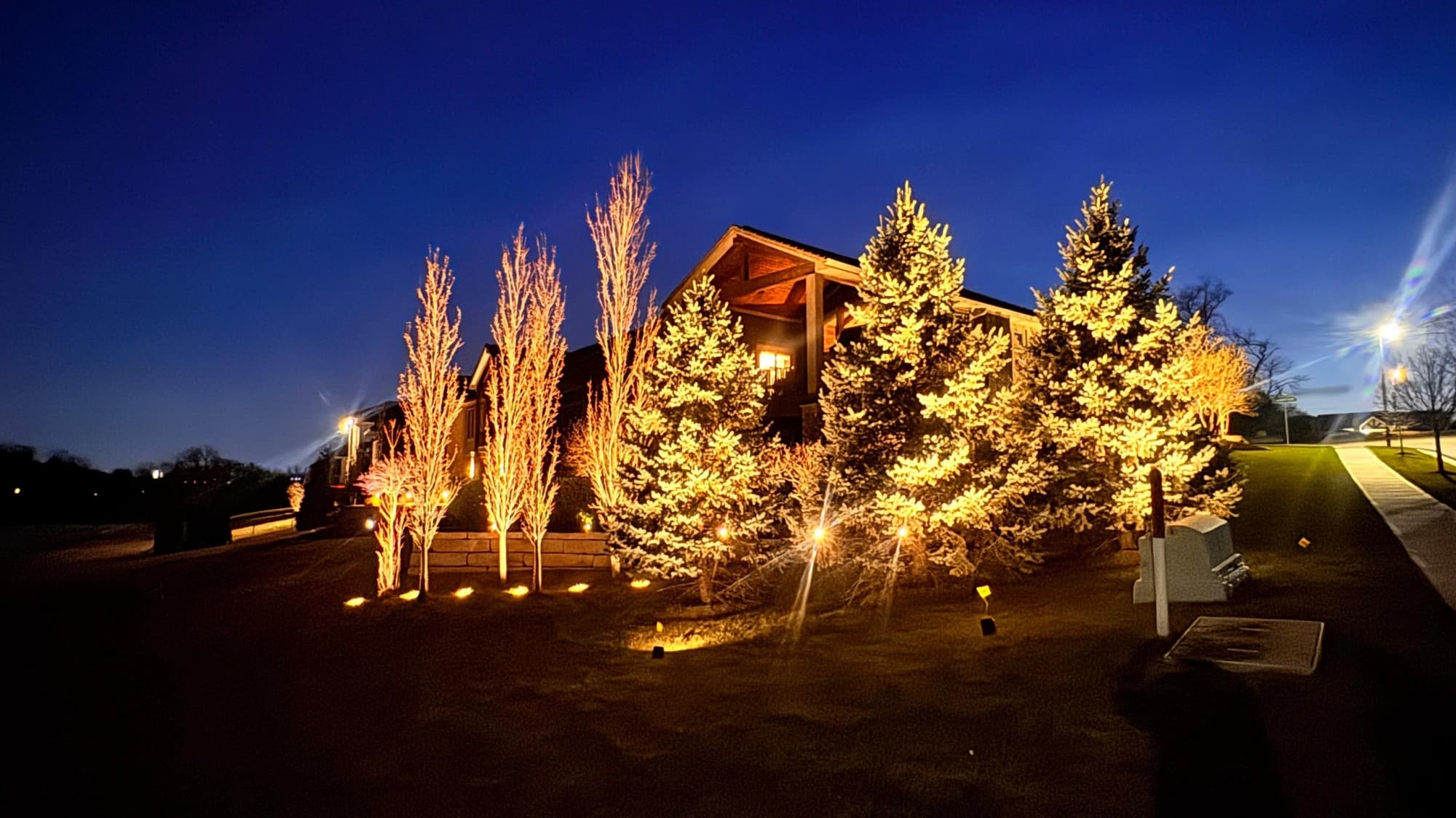 Landscape Lighting